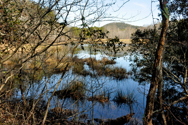 the lake at Crowders Mountain